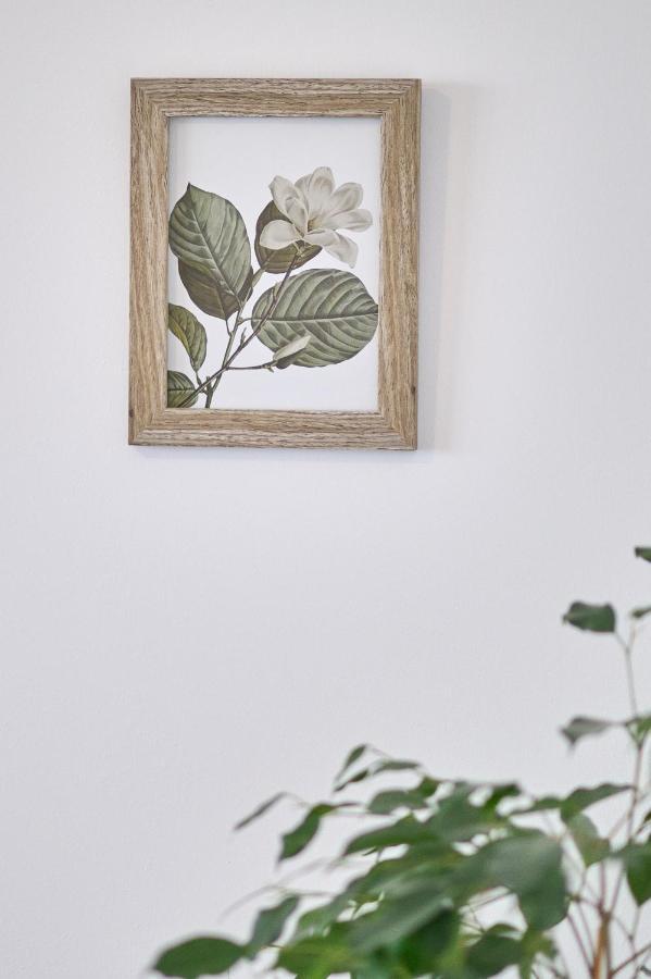 Alina Lake View Apartment 마마이아 외부 사진